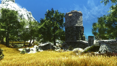 CG4 Trees and Bushes