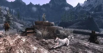 Питомцы Скайрима / Pets of Skyrim