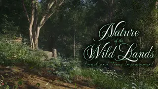 Nature of the Wild Lands