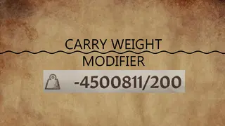 Carry Weight Modifier — увеличение переносимого веса