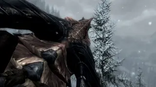 Skyrim - Enhanced Camera — Реалистичный вид от первого лица