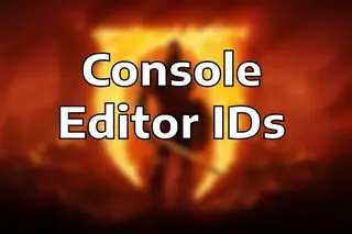 Runtime EditorIDs (Console)