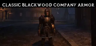 Classic Blackwood Company Armor