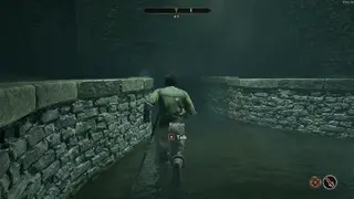 Quest NPCs Run — быстрые спутники в сюжетных квестах