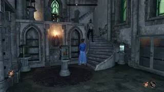 Guaranteed Oddities for the Museum of Oddities