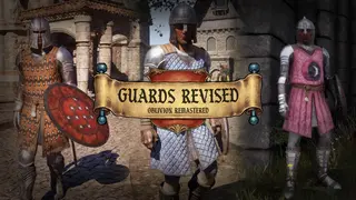 Guards Revised — переработанная экипировка стражи всех городов