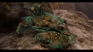 Rotten Mudcrabs – гнилые крабы-болотники