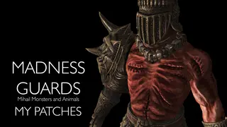 Amber Sentinels and Madness Guards