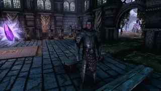 Simo The Mercenary — озвученный наёмник (лоровый NPC)